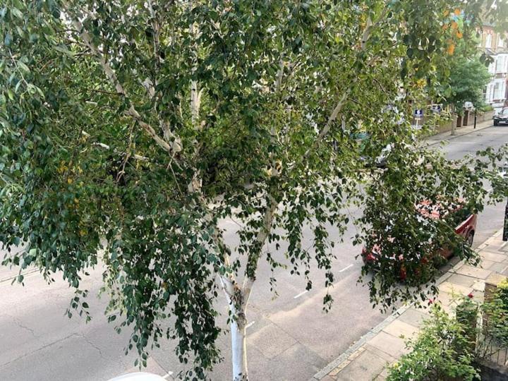 Lovely Spacious 1-Bedroom Flat In Tufnell Park Close To Central London Eksteriør bilde